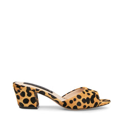 VERVE-L LEOPARD - SM REBOOTED